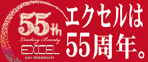 55 excel
